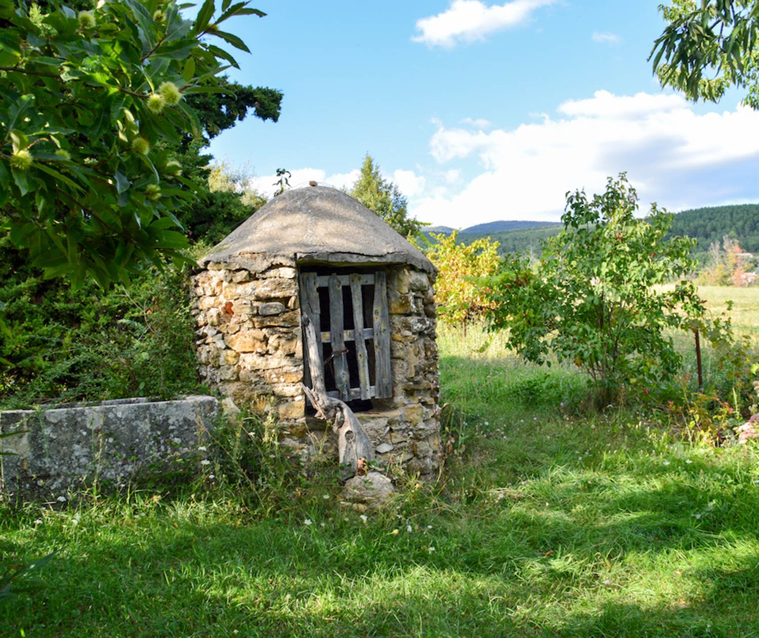 Le puits dans un coin du parc