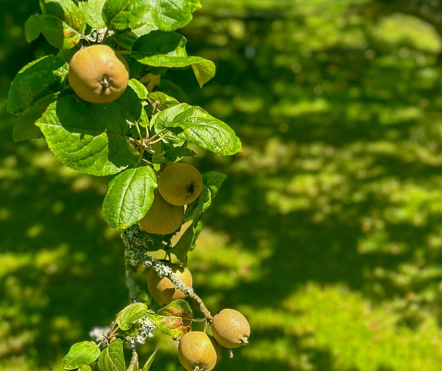 profiter du cadre bucolique de la demeure du Porzou