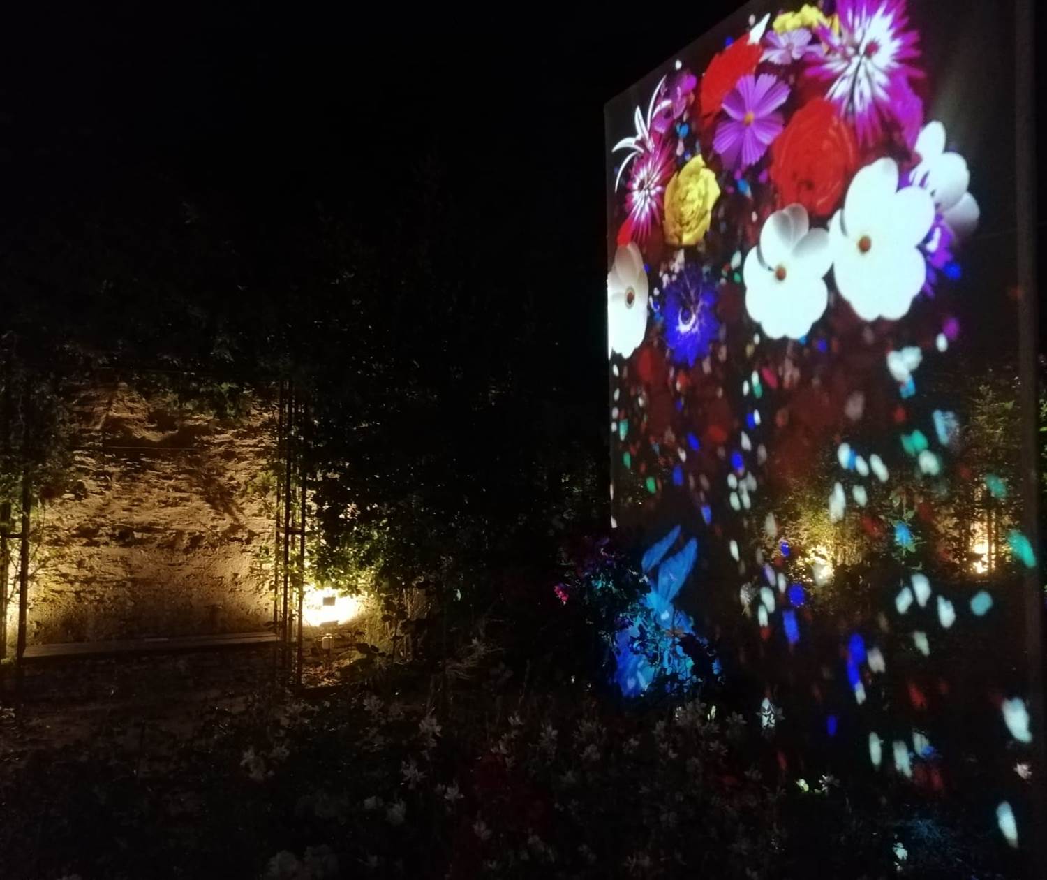 ANIMATIONS LUMINEUSES DANS LES JARDINS DE CANON