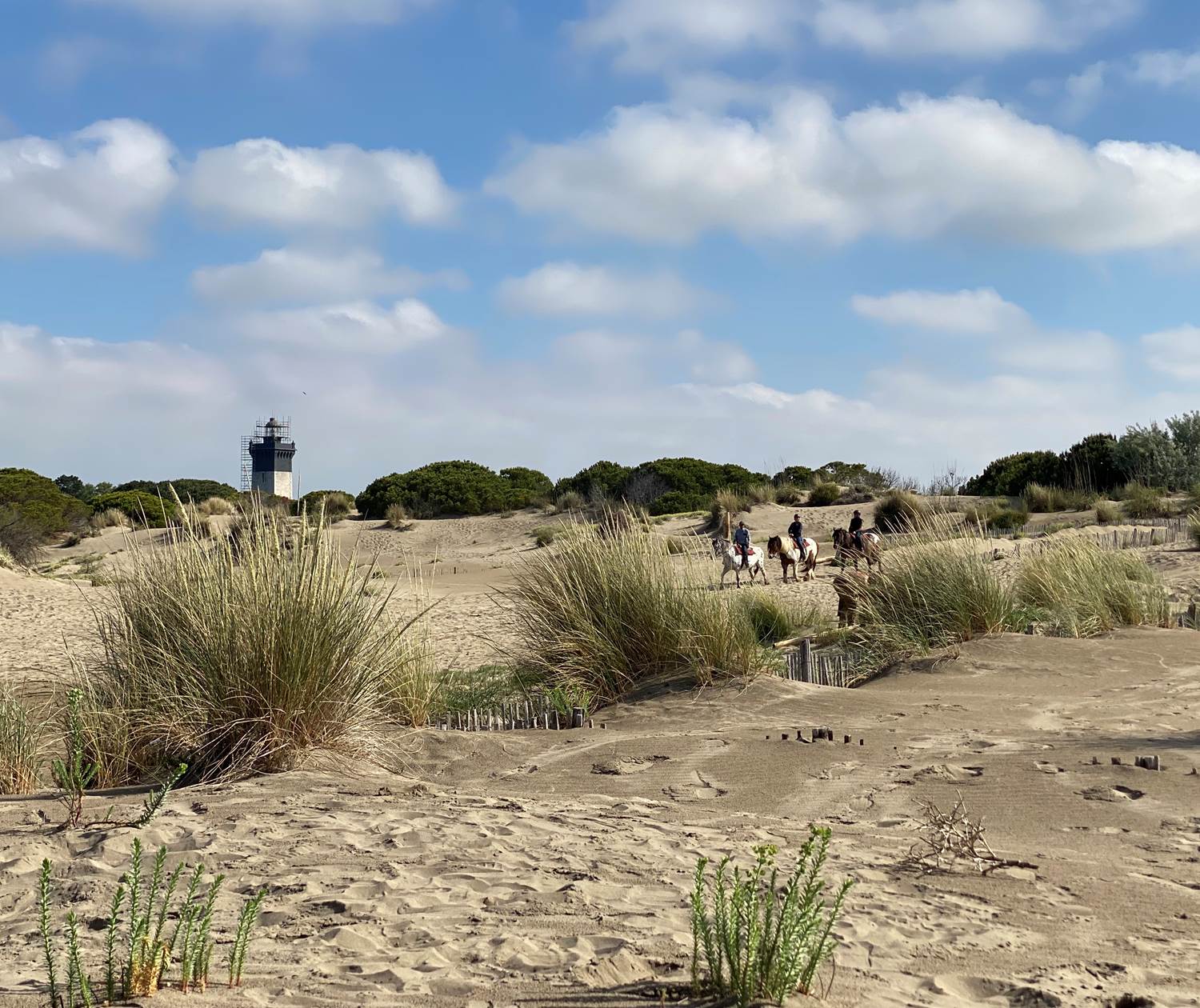 Plage de l'Espiguette