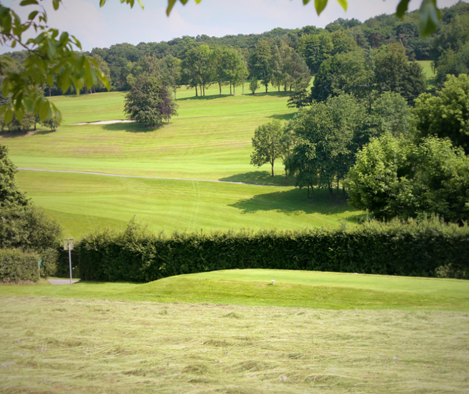 Vue sur le Golf de Liège-Gomzé