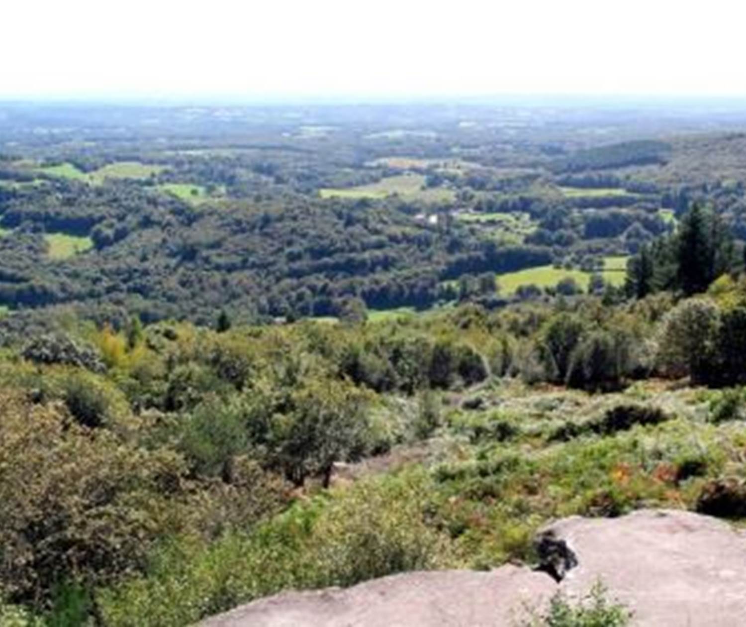 Point de vue Pierre Branlante