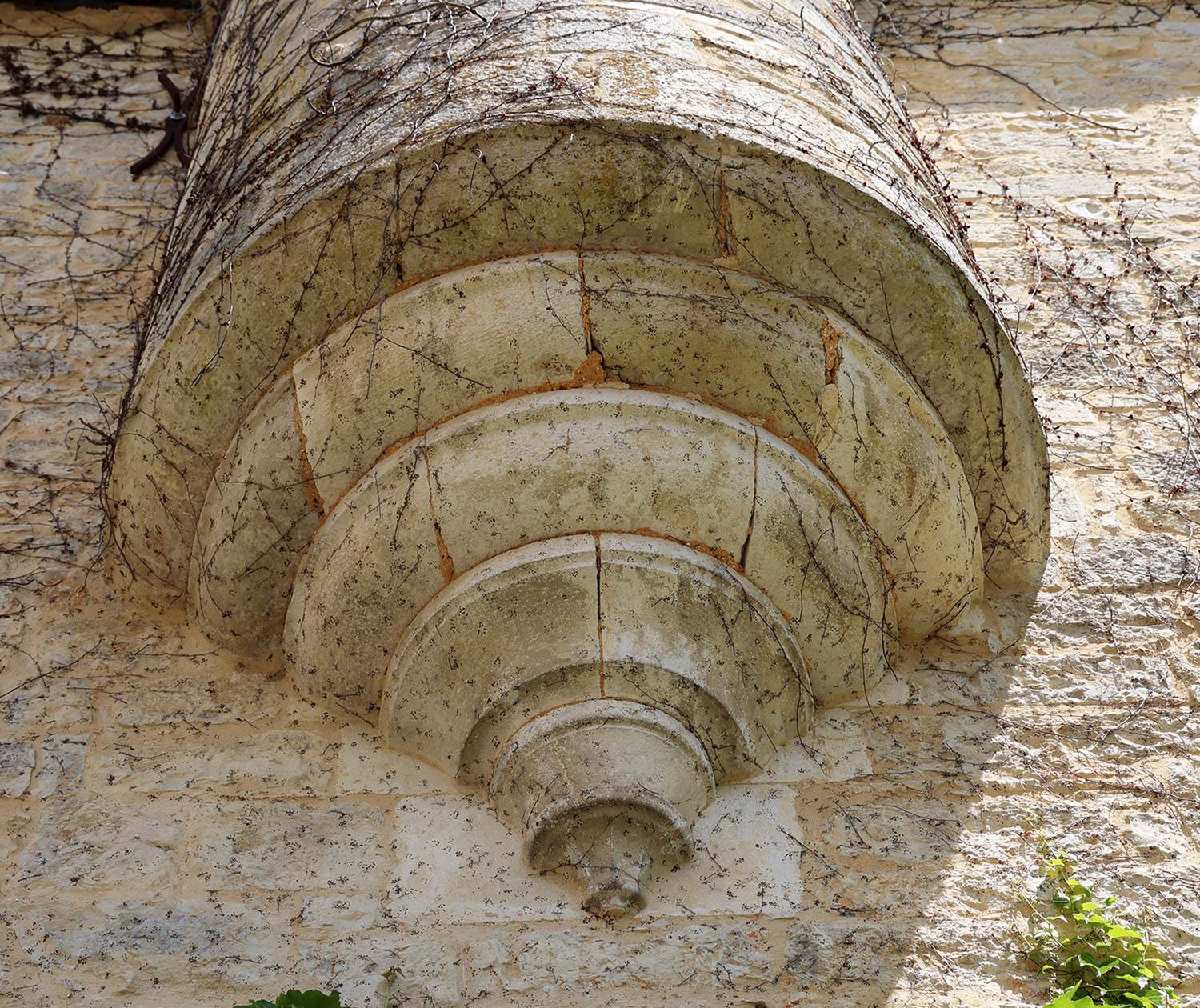 Restauration et patrimoine au Château Saint-Chamarand