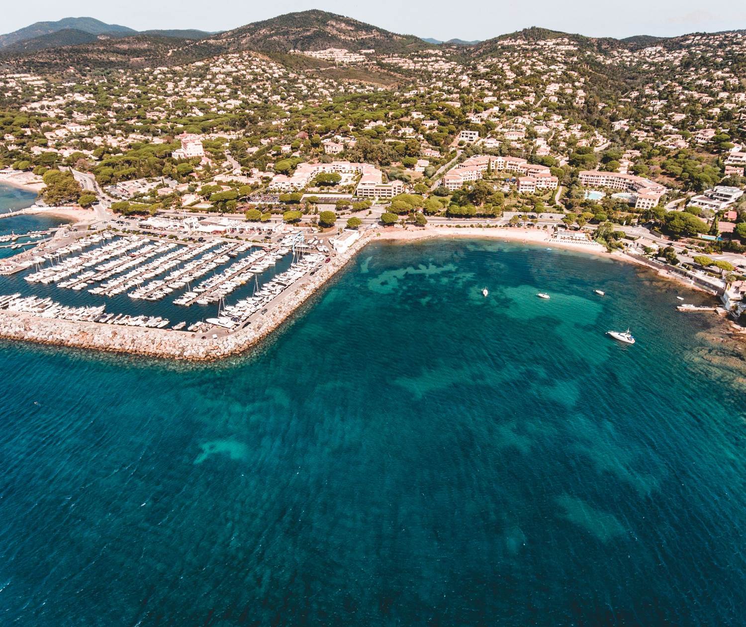 ECO GLISS PHOTO @bubble_dan