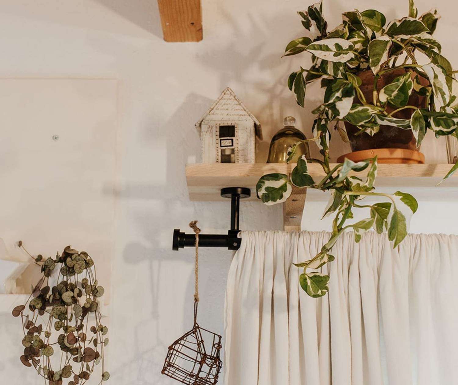 Dans Le Jardin de l'Ecurie