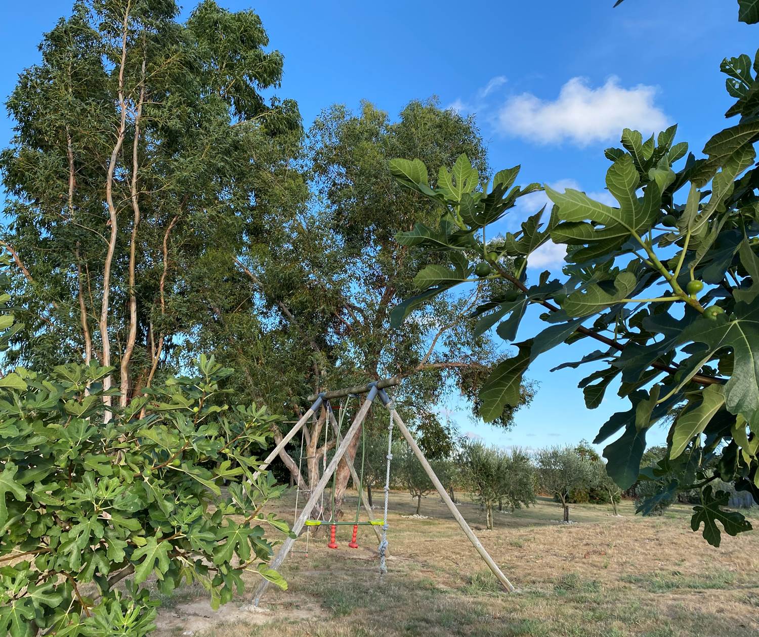 Module de jeu pour enfant