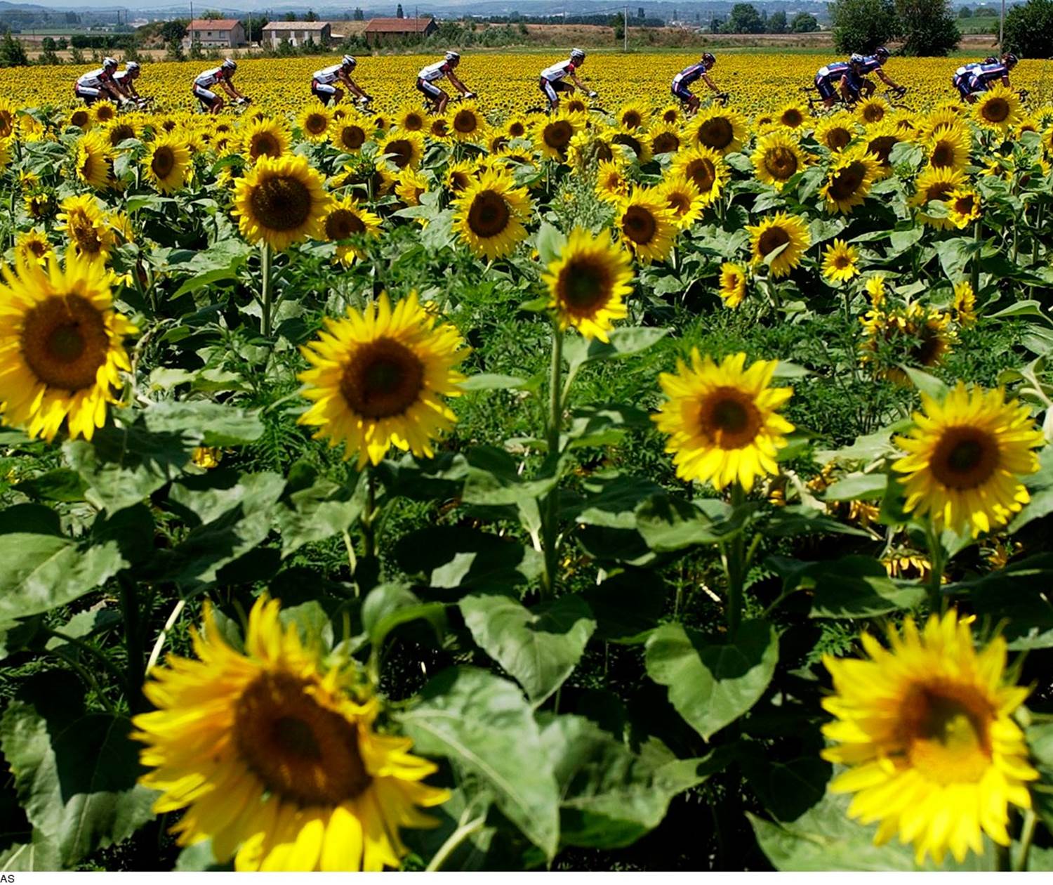 Vélo dans la nature.Copyright.176--PELLEGRIN_M_-_OT_VALREAS-1600px
