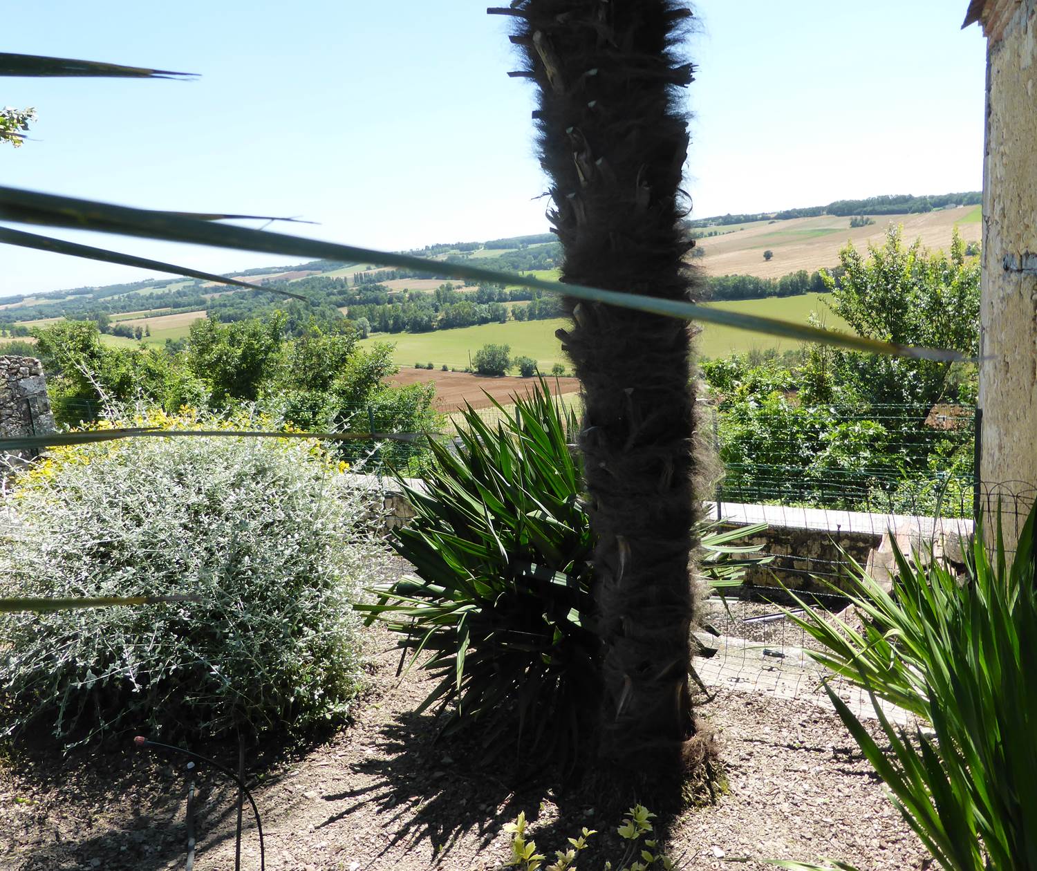 fond du jardin vers vallee