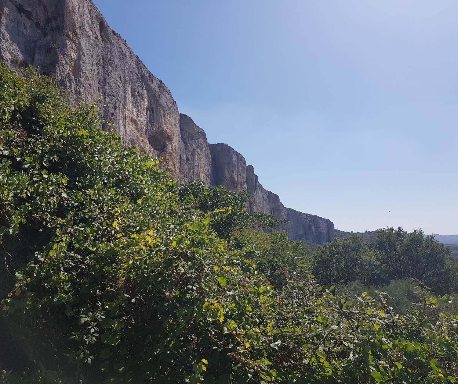 Falaise de la Madeleine à Lioux près de Saint-Saturnin les Apt