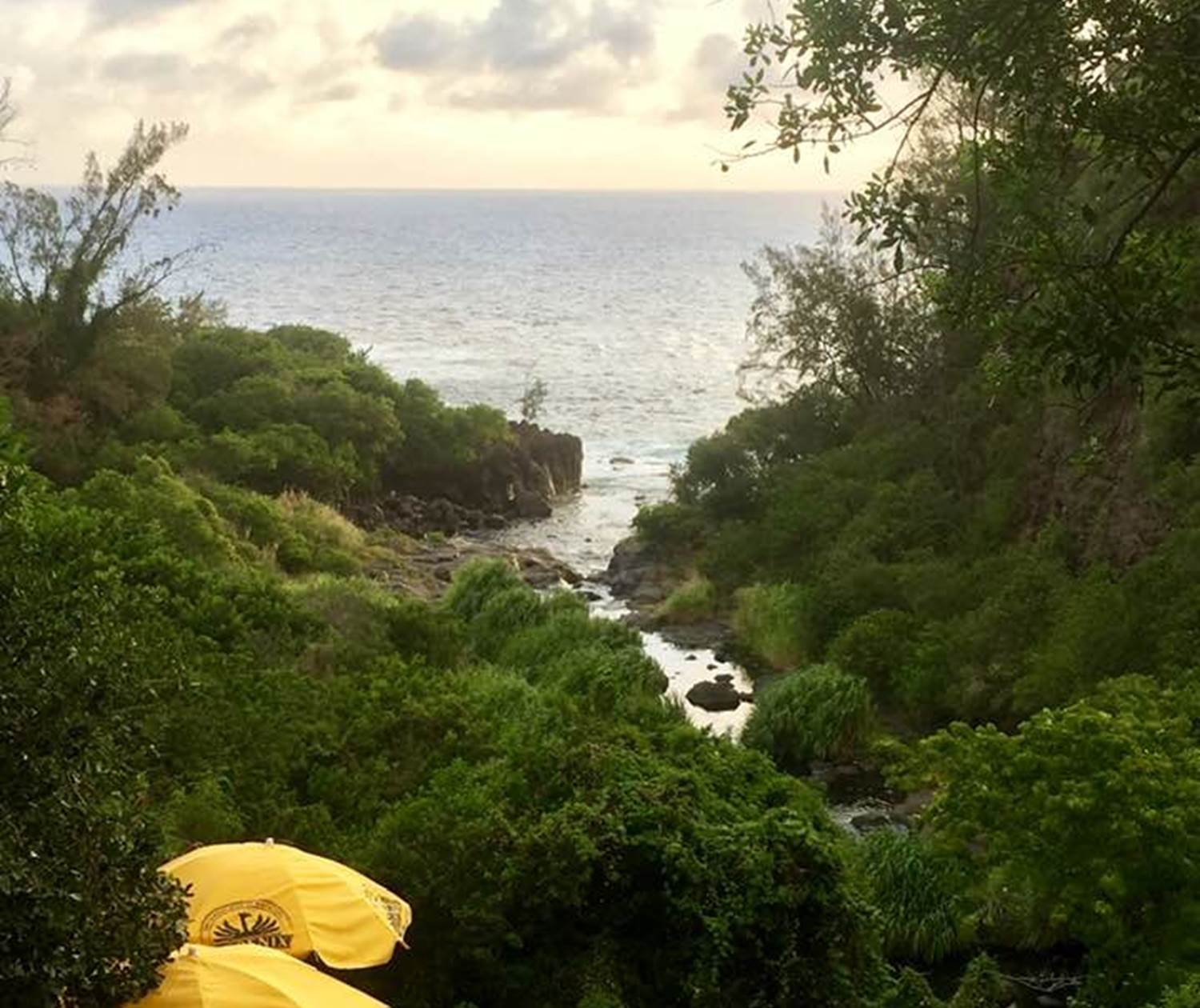 embouchure de la rivière