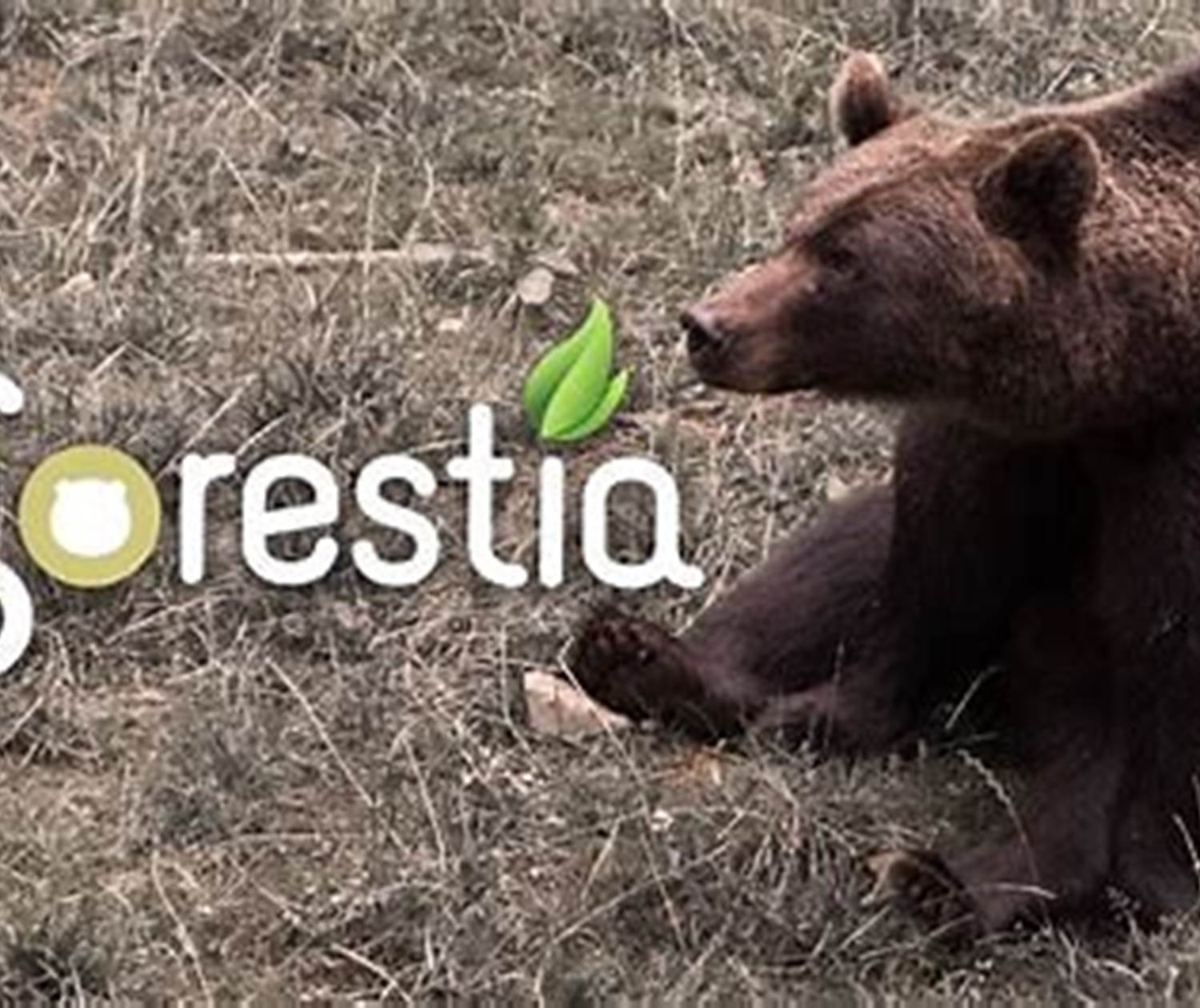 Parc animalier Forestia