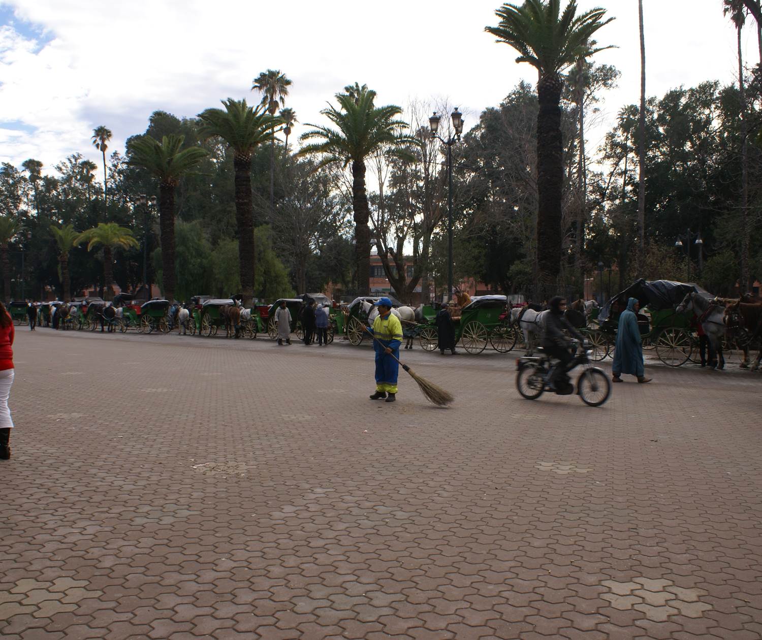 calèche-à -marrakech