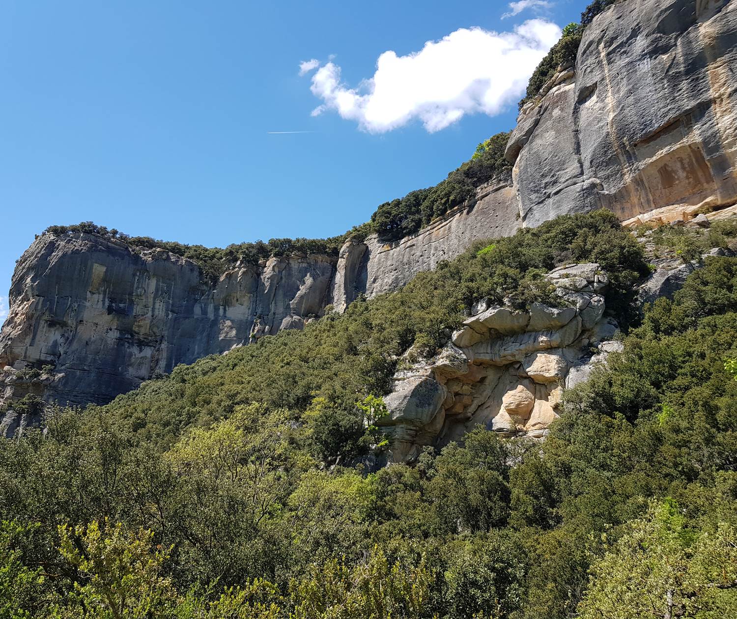 Falaise d'escalade de Buoux en Provence - plateau des Claparèdes Luberon