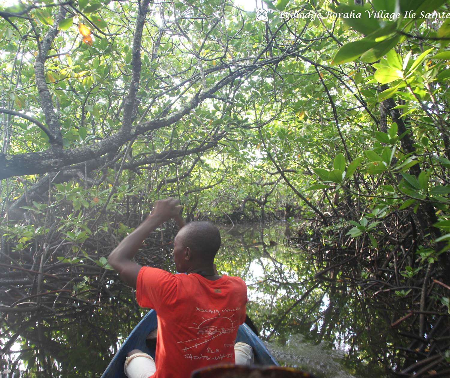 Mangrove Boraha Village Ile Ste Marie Madagascar 12