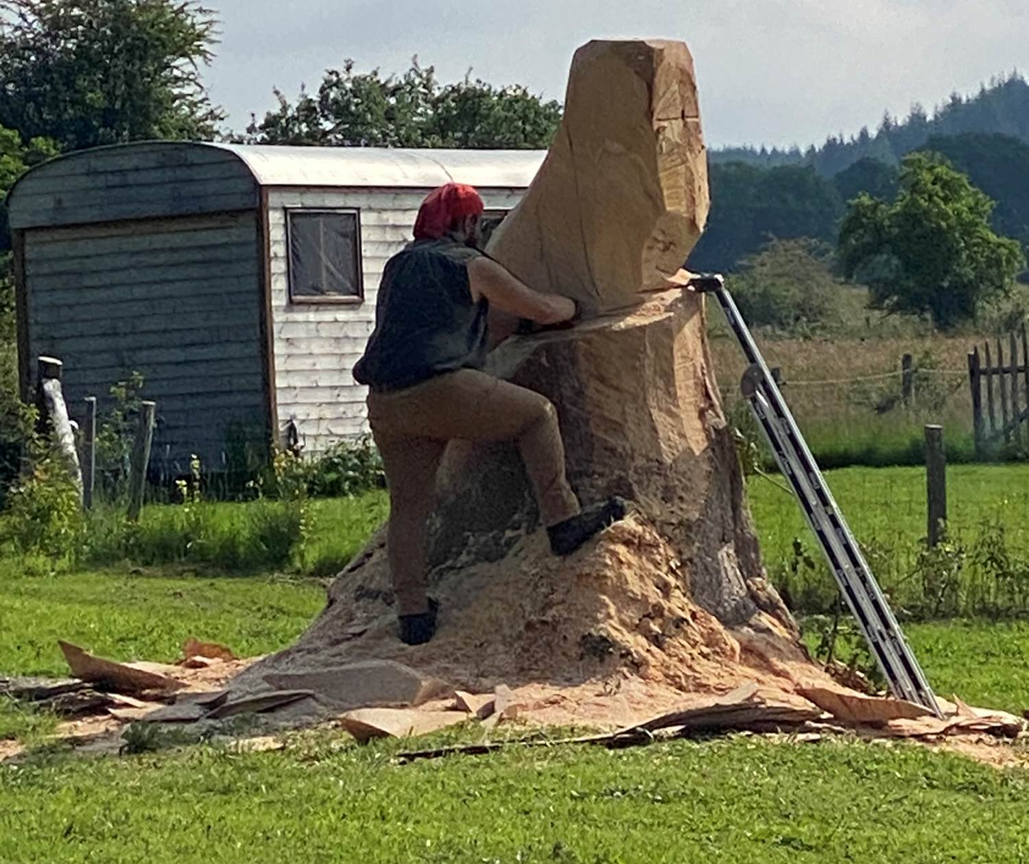 Les terres de la chouette, travail de l'artiste et de la chouette qui prend forme petit à petit