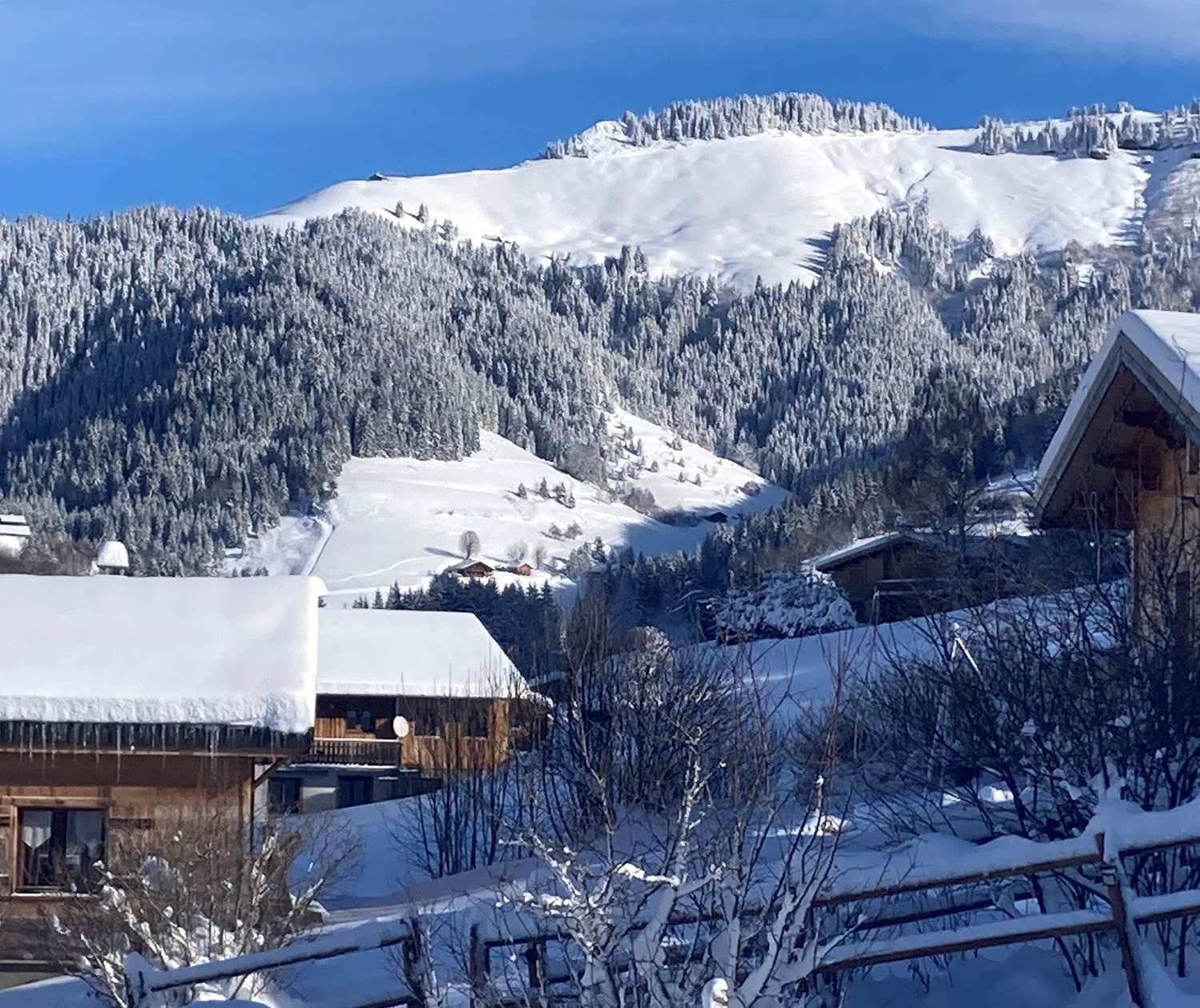 Les chalets d'Heidi