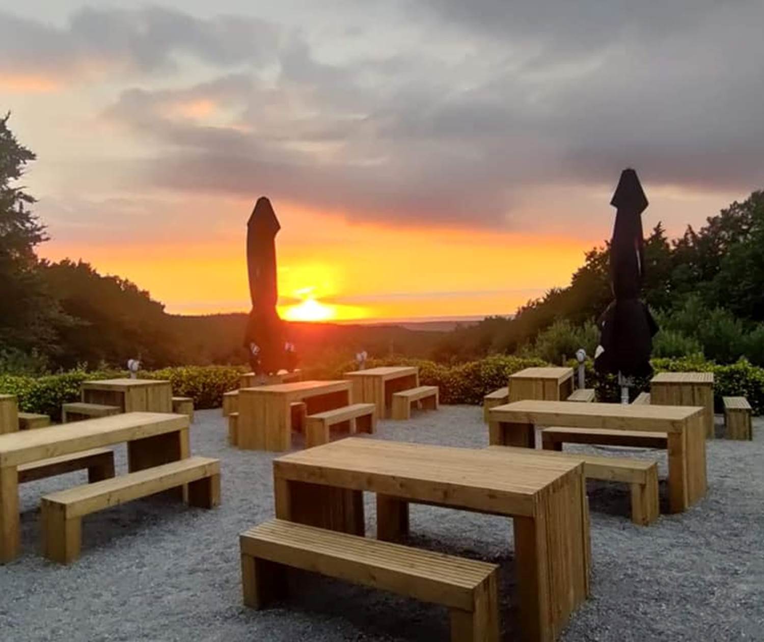 terrasse de la brasserie