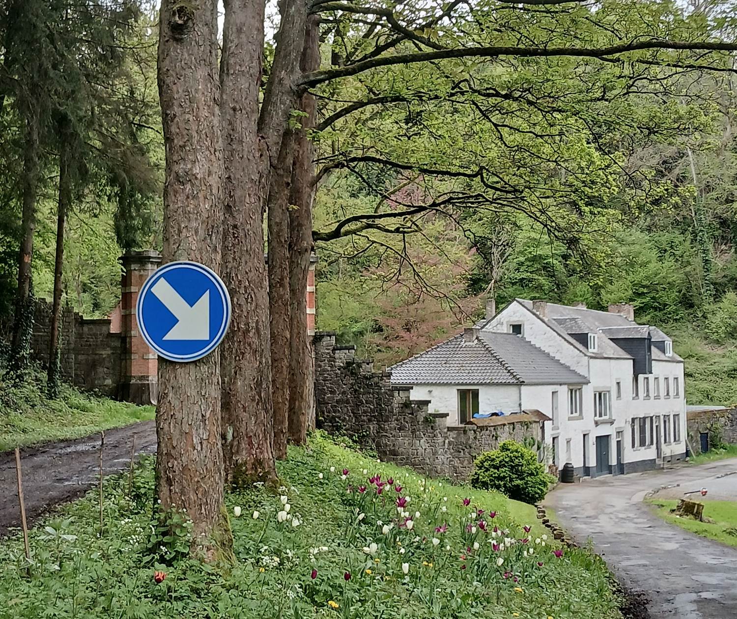 vue de l'ancien moulin