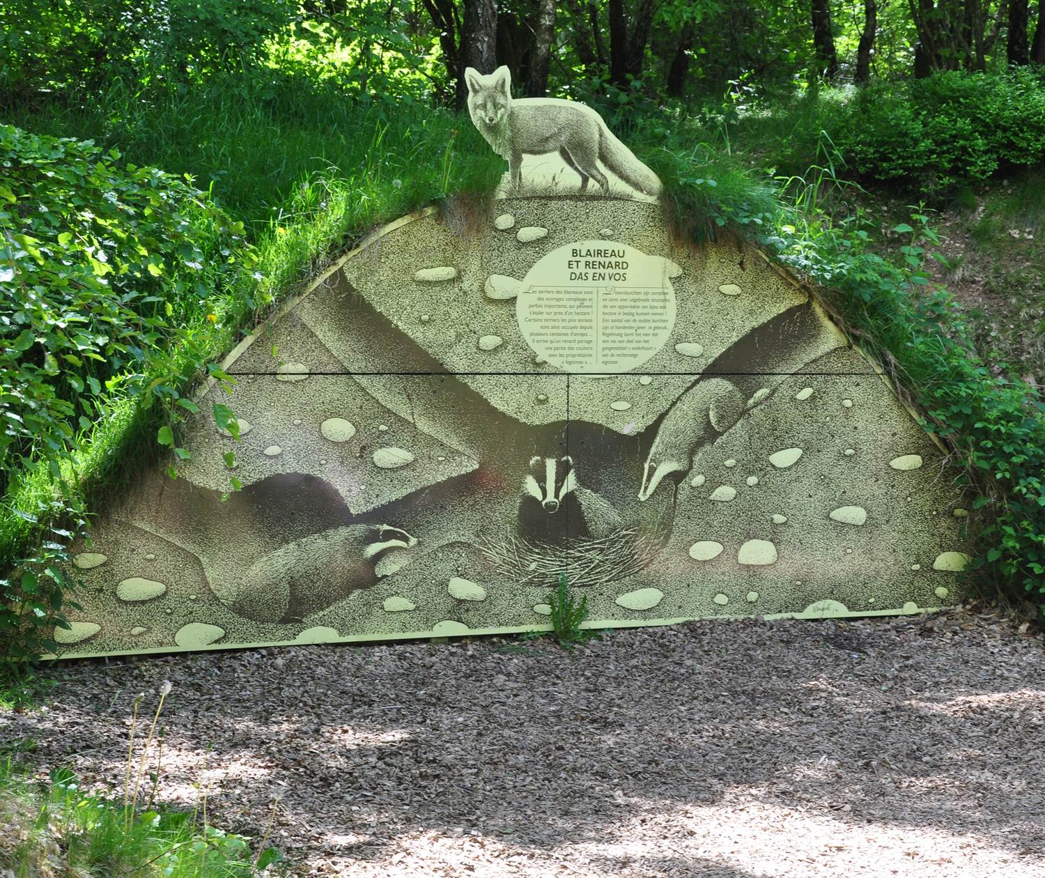 cachette souterraine blaireau et renard