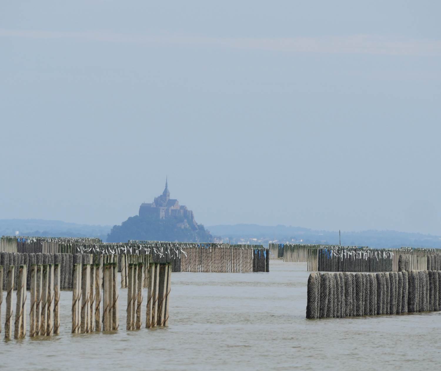 Mont Saint Michel - Parc à moules de la Baie ( c SMBMSM)