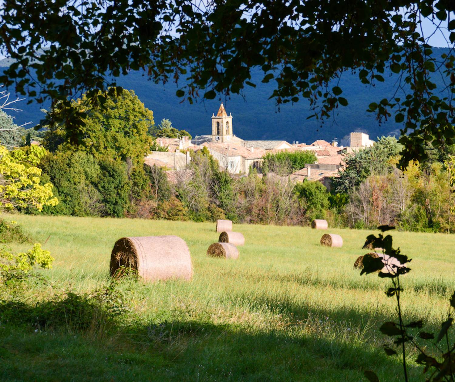 Le village de Cruis vu depuis la bastide
