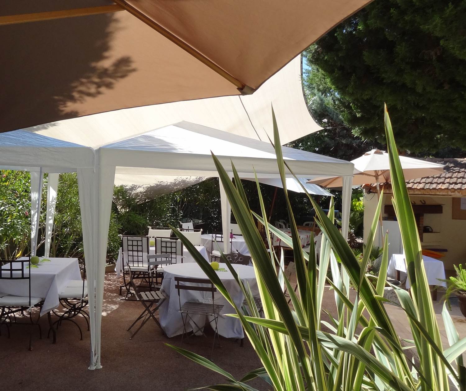 Réception au bord de la piscine