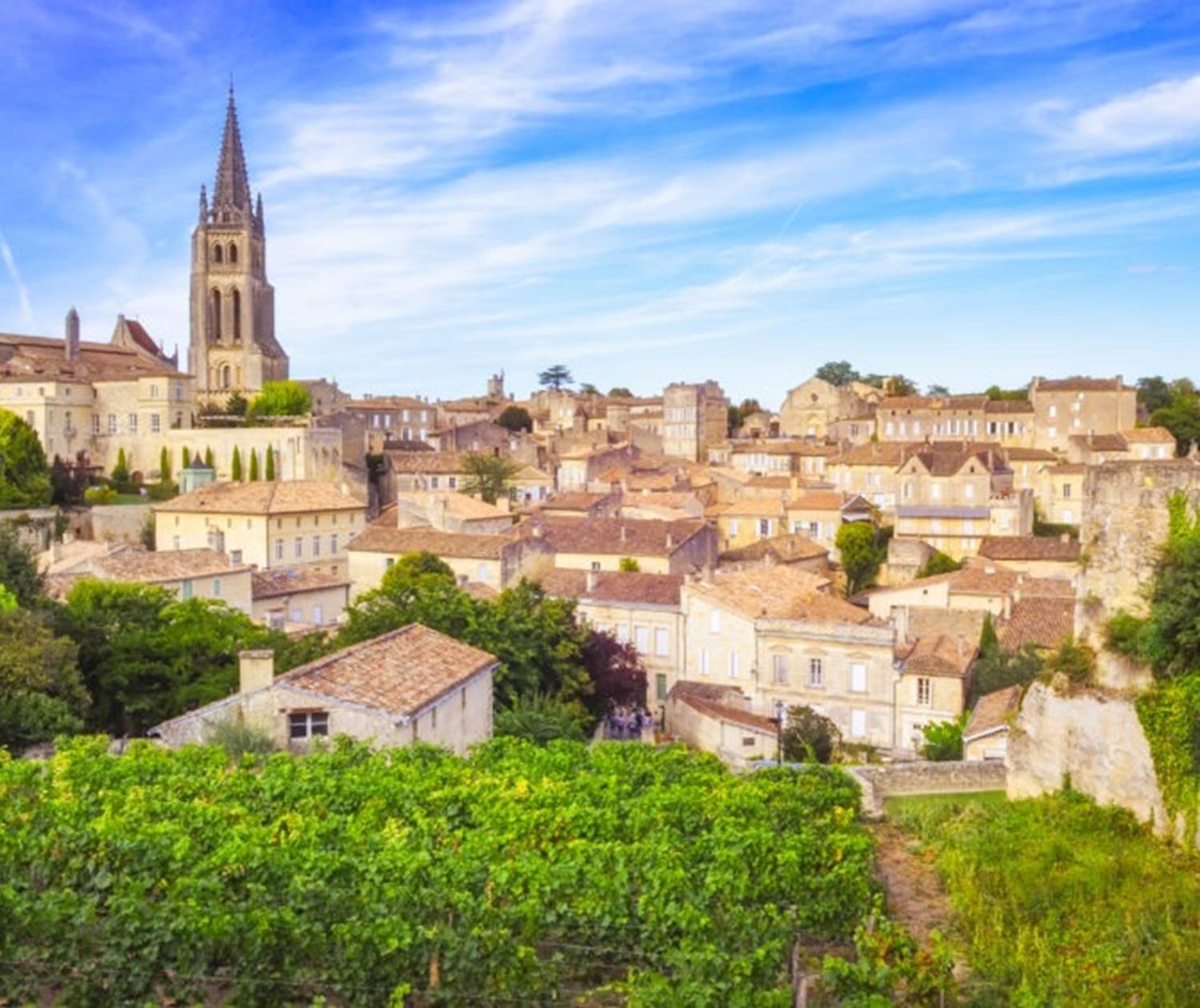 Saint-Emilion (source:https://ophorus.com/product/saint-emilion-wines-village-full-day-from-bordeaux/)