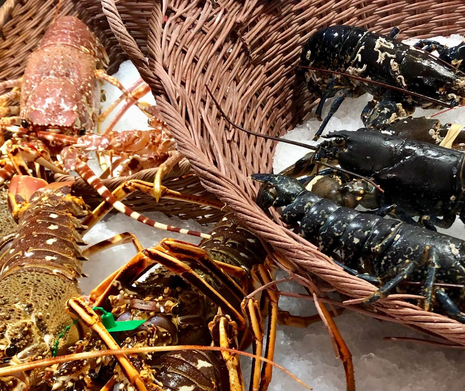 langouste fraiche sur commande