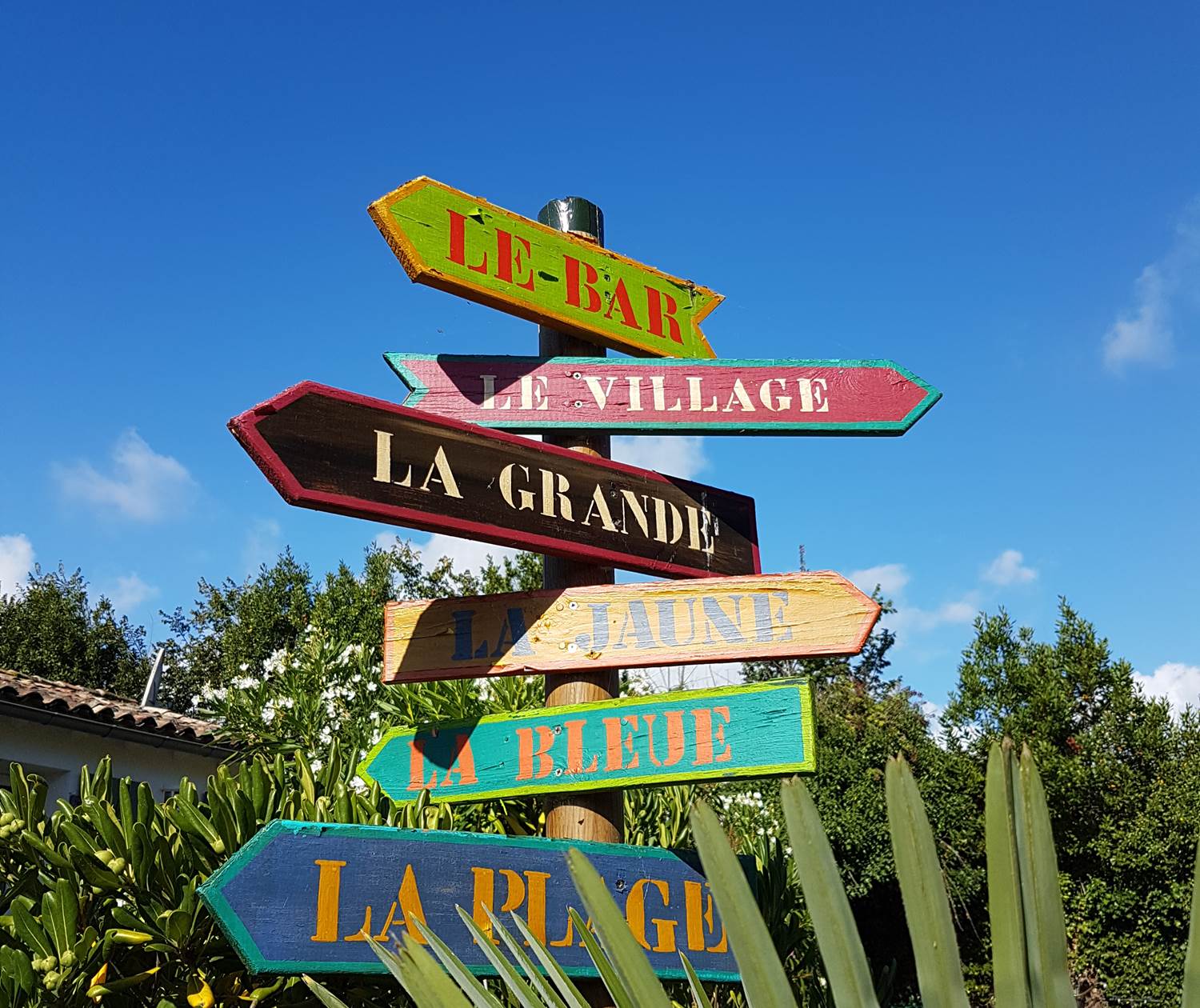 Demander le programme !