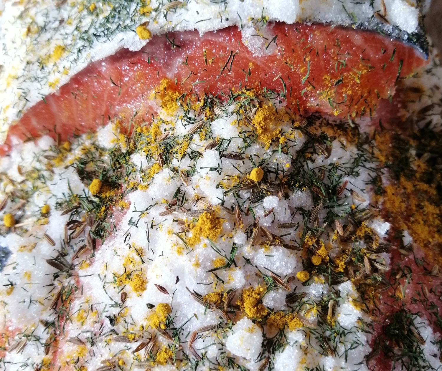 Le délicieux Saumon Gravelax aux Epices de Rodolphe