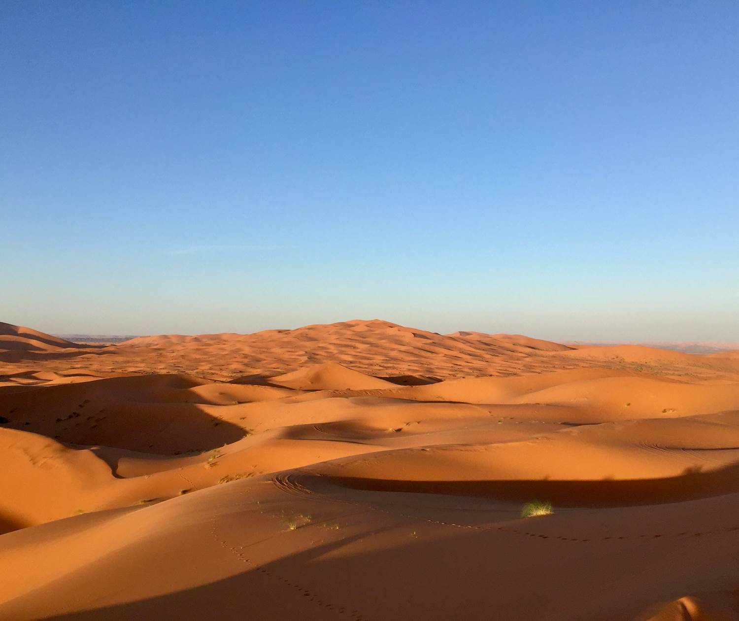 DESERT MERZOUGA