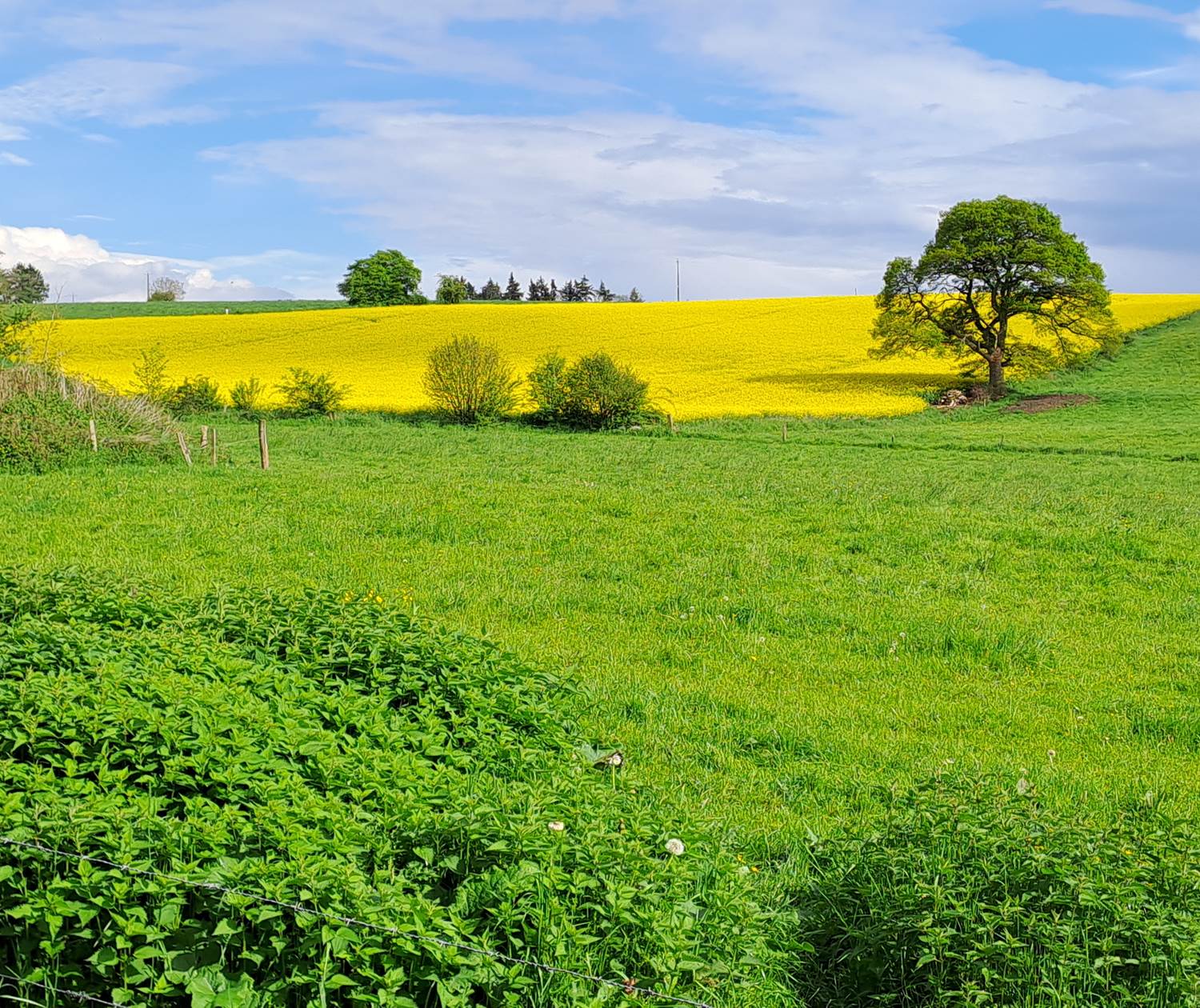 Prairies et cultures