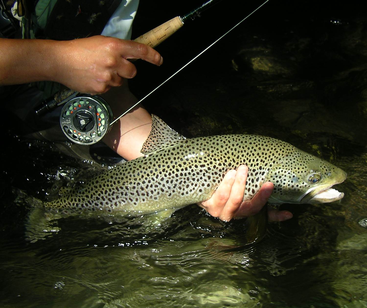 hotel-du-pont-abense-paysbasque_truite