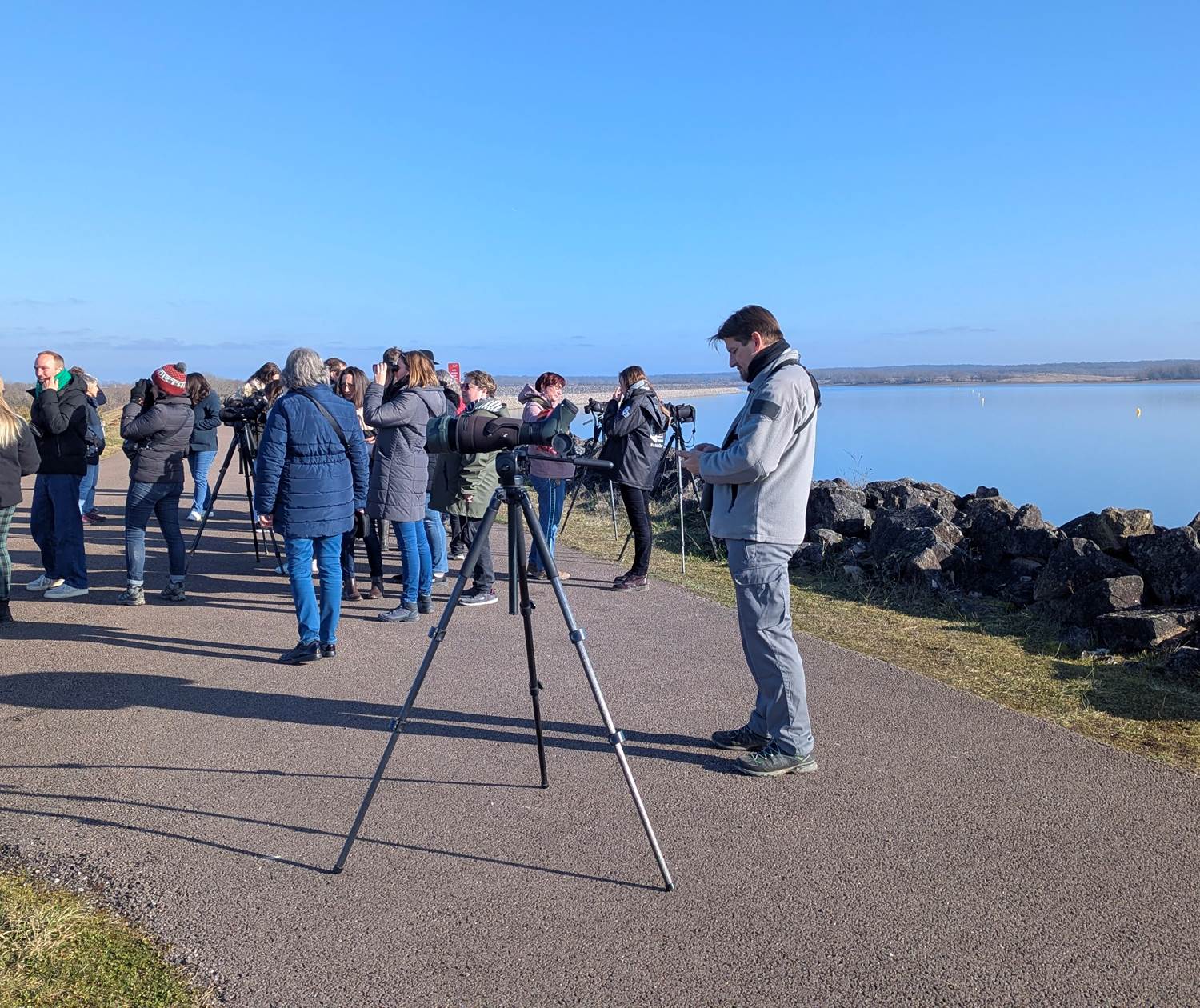 observation-ornithologique