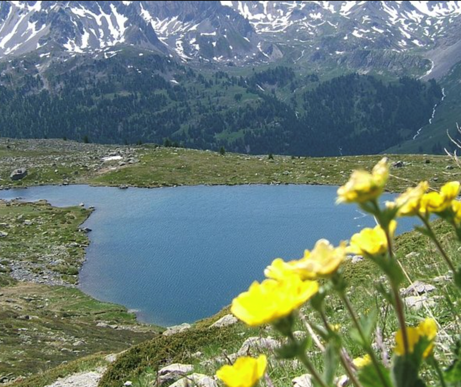 Capture d’écran 2021-10-04 à 16