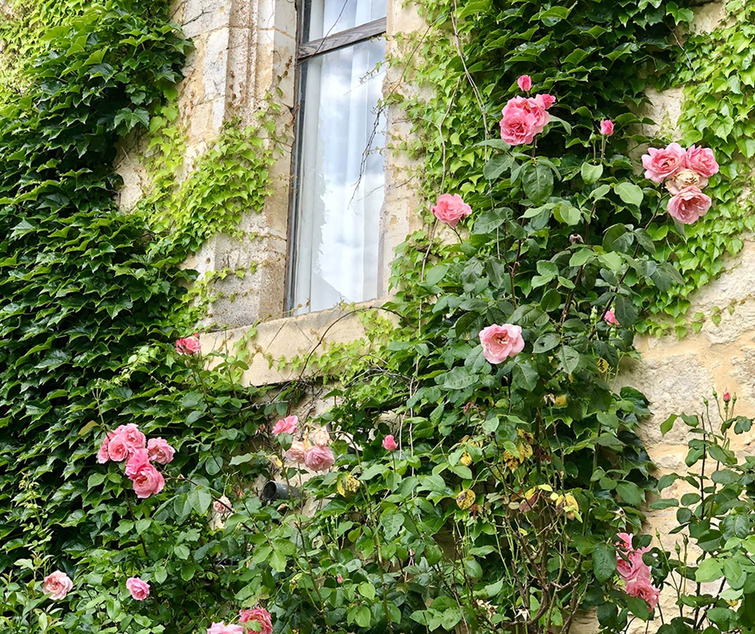 Chateau de Saint Chamarand - Exterieur, terasse et jardin