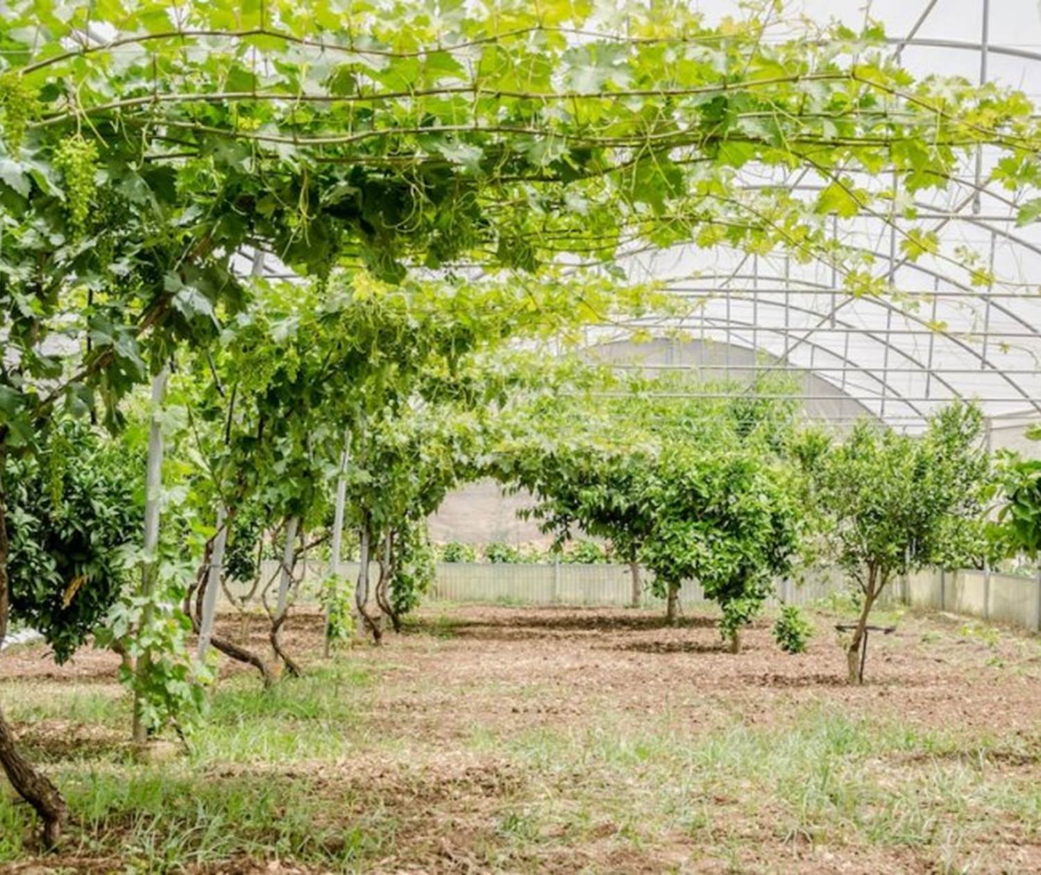 Villa Dolce Valle - Ragusa