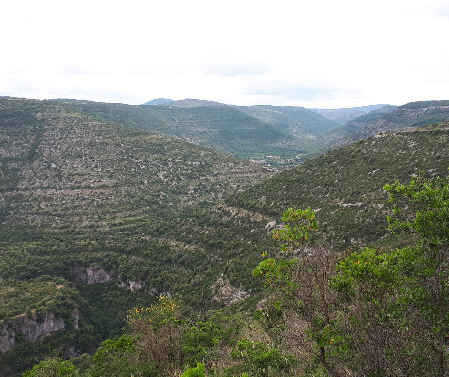 Les méandres de la Vis entaillent profondément les plateaux calcaires.