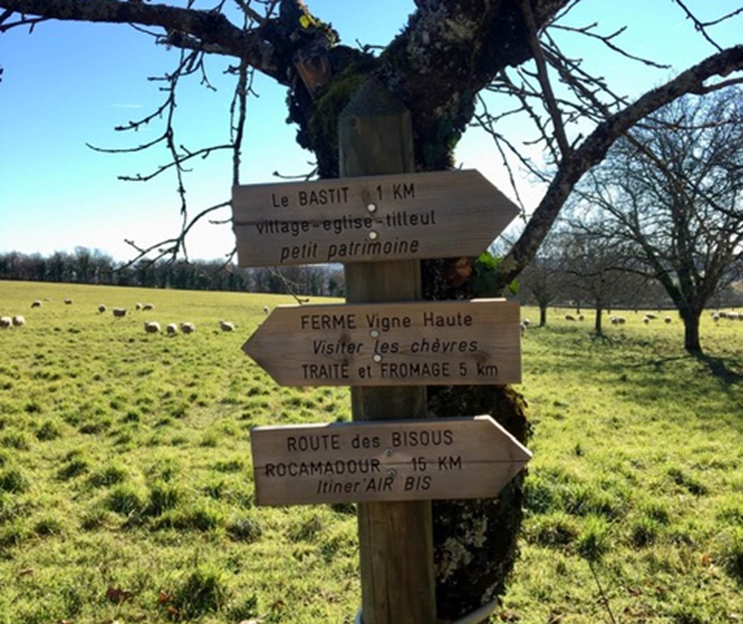 Balades bucoliques au Bastit