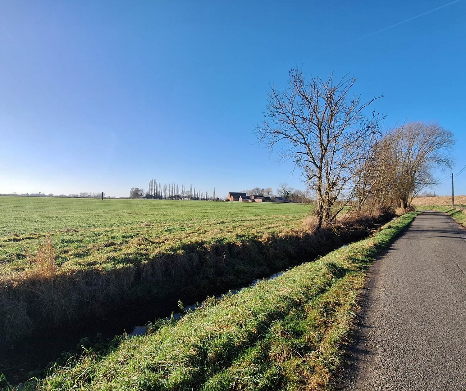 Au fil de la promenade