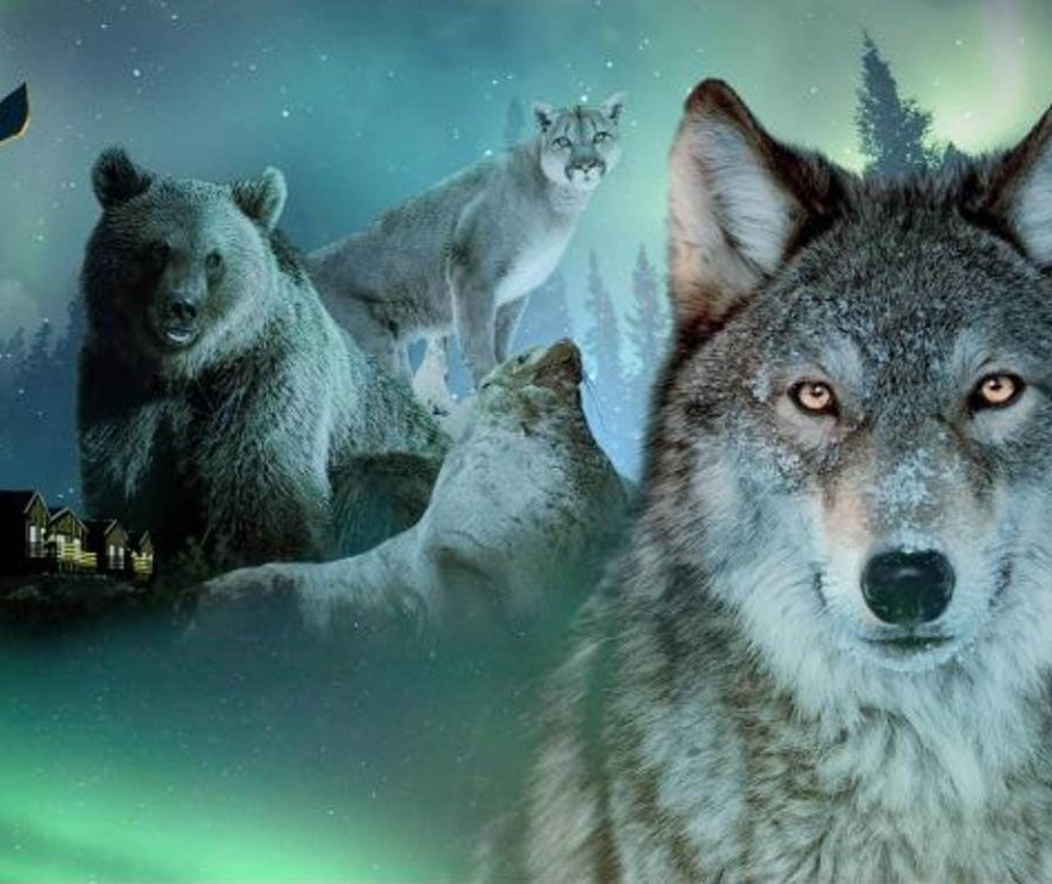 La dernière frontière