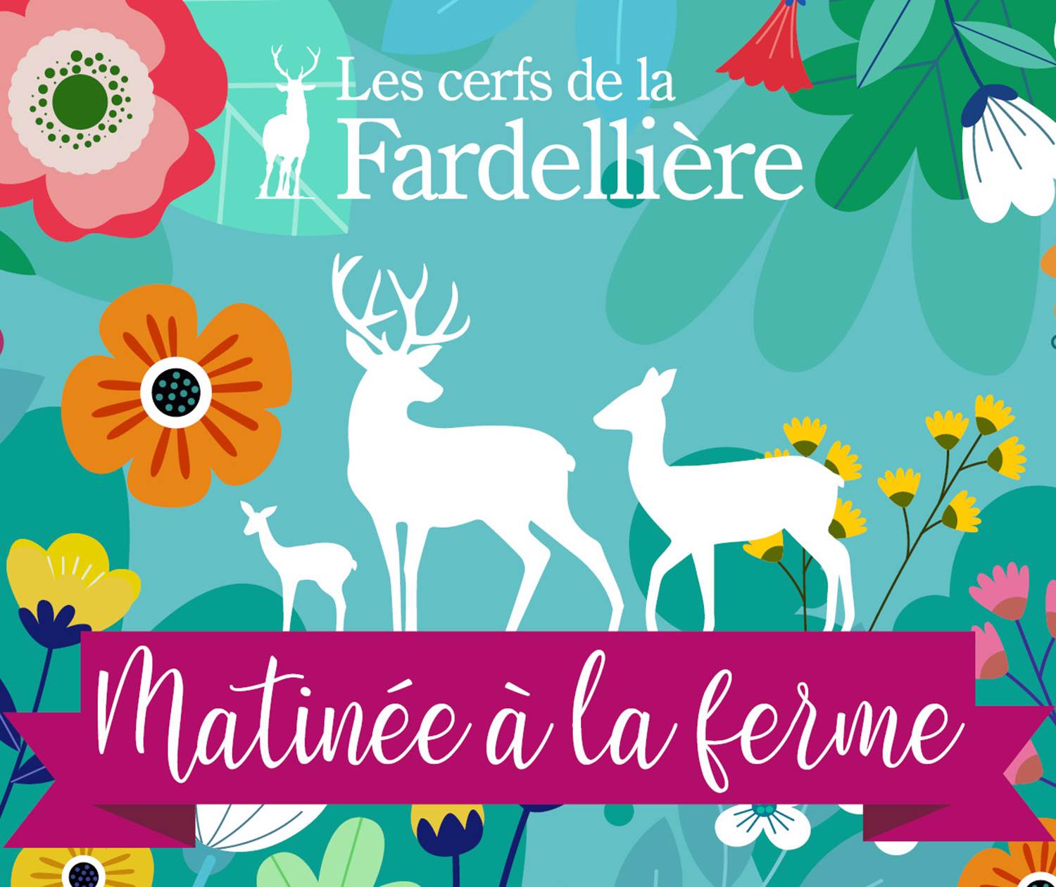 Visite de la ferme - Les Cerfs de la Fardellière