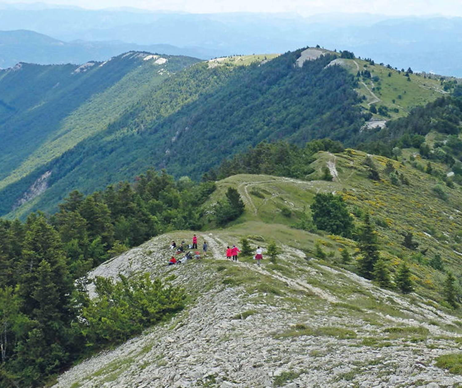 Randonnée sur la montagne de Lure