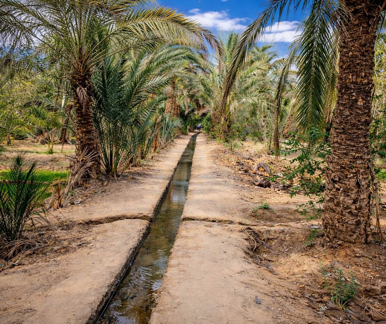 Canal d'irrigation des jardins de la palmeraie