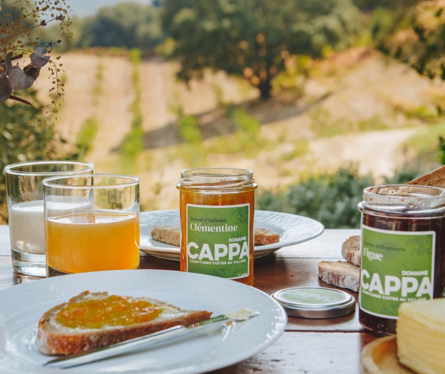 Petit-déjeuner authentique au Domaine Cardu avec confitures bio de clémentine et figue du Domaine Cappa, pain frais et vue sur la nature.