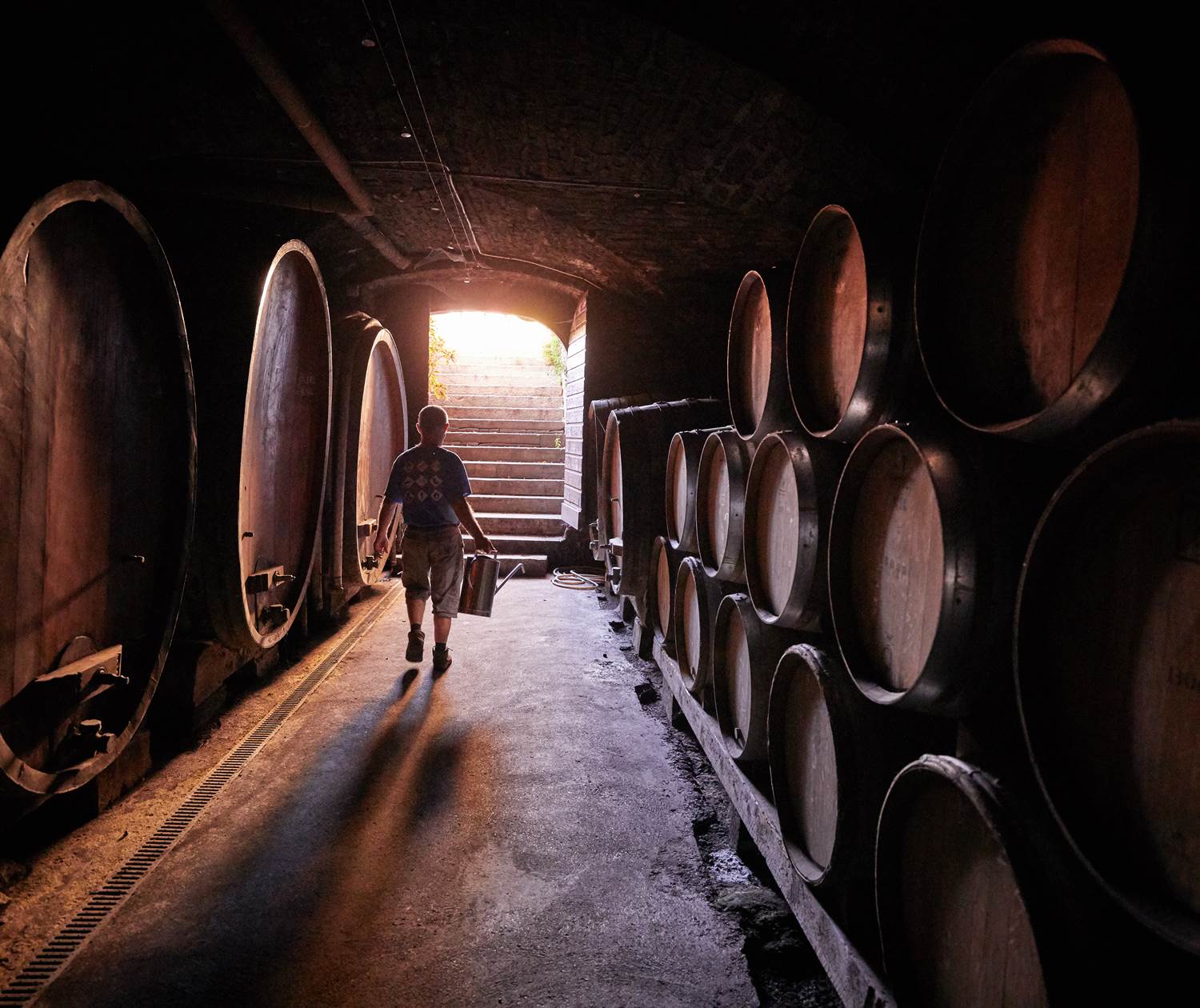 Les caves historiques de vieillissement