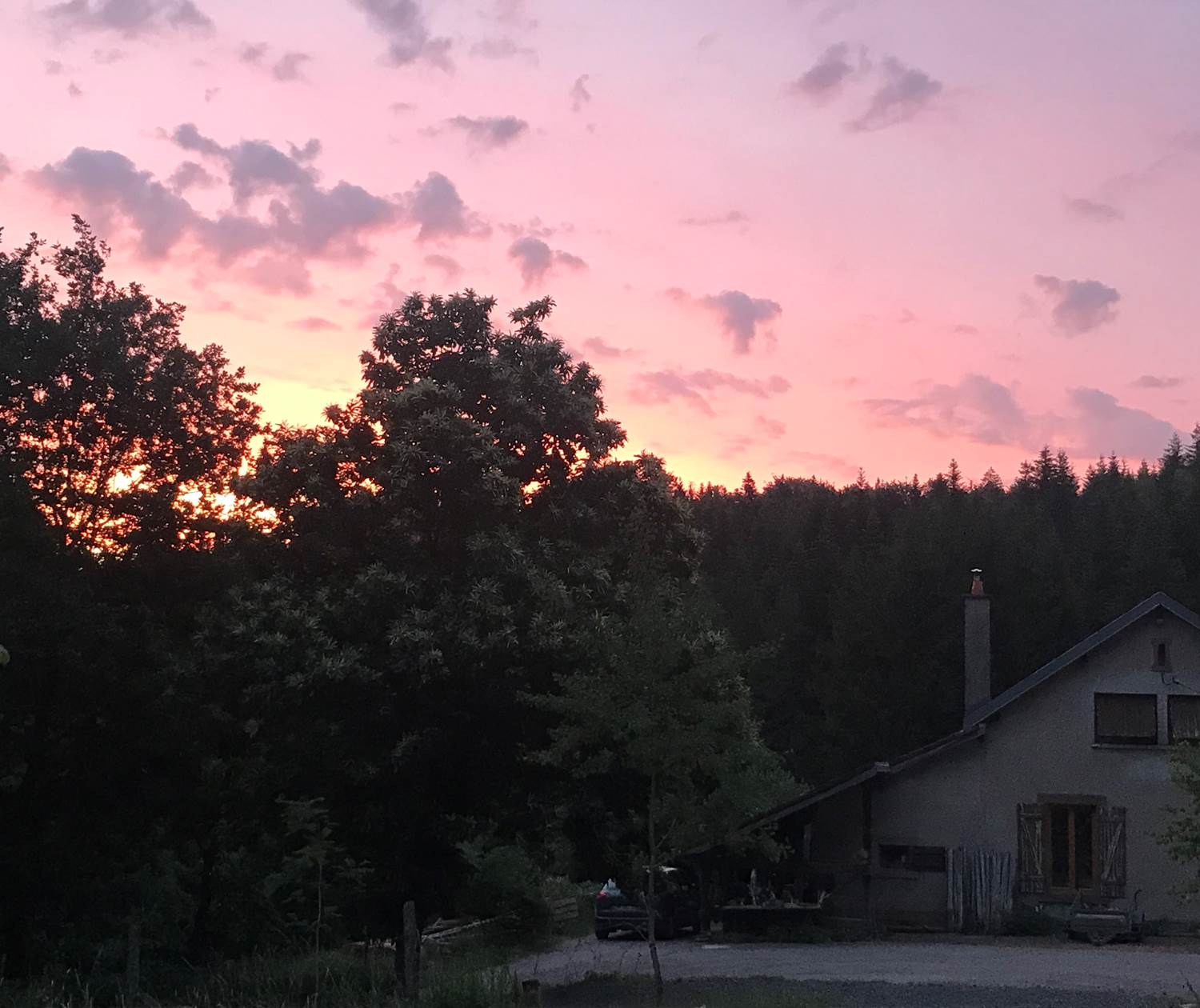 Au frais dans la maison - Dans la foret le matin a la fraiche