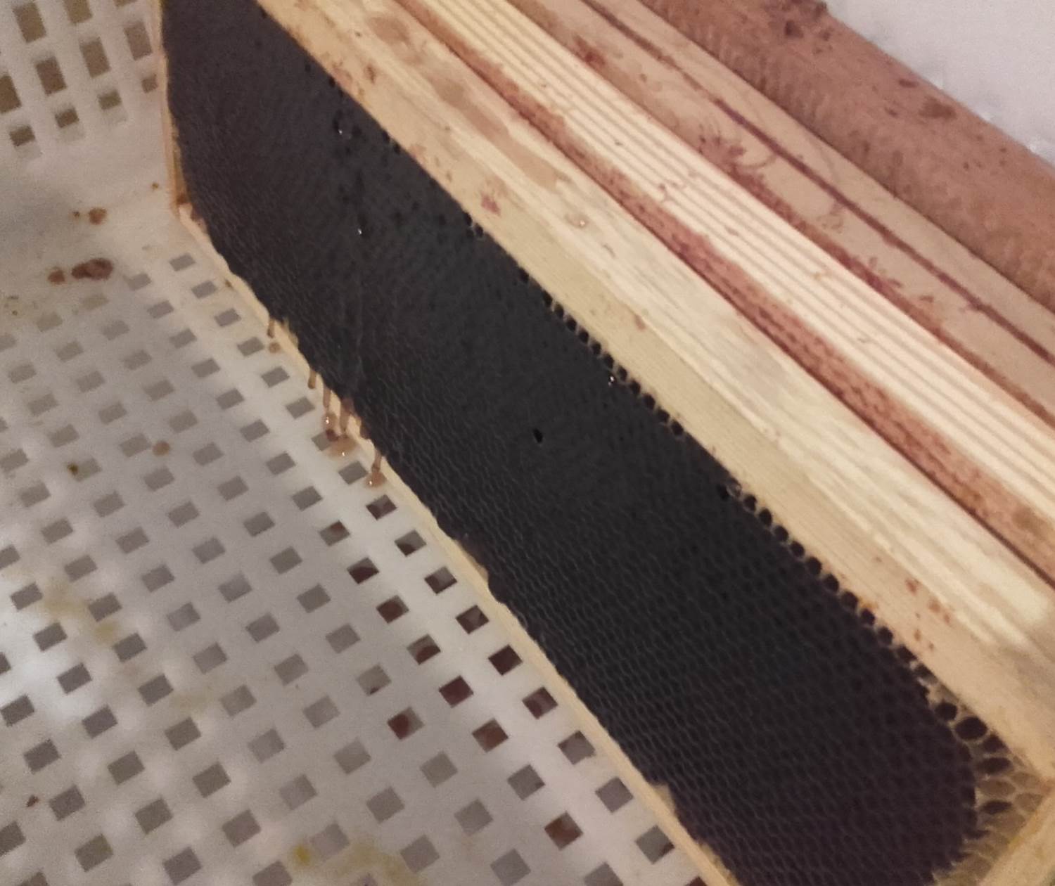 Les cadres de hausse remplis de miel et de miellat