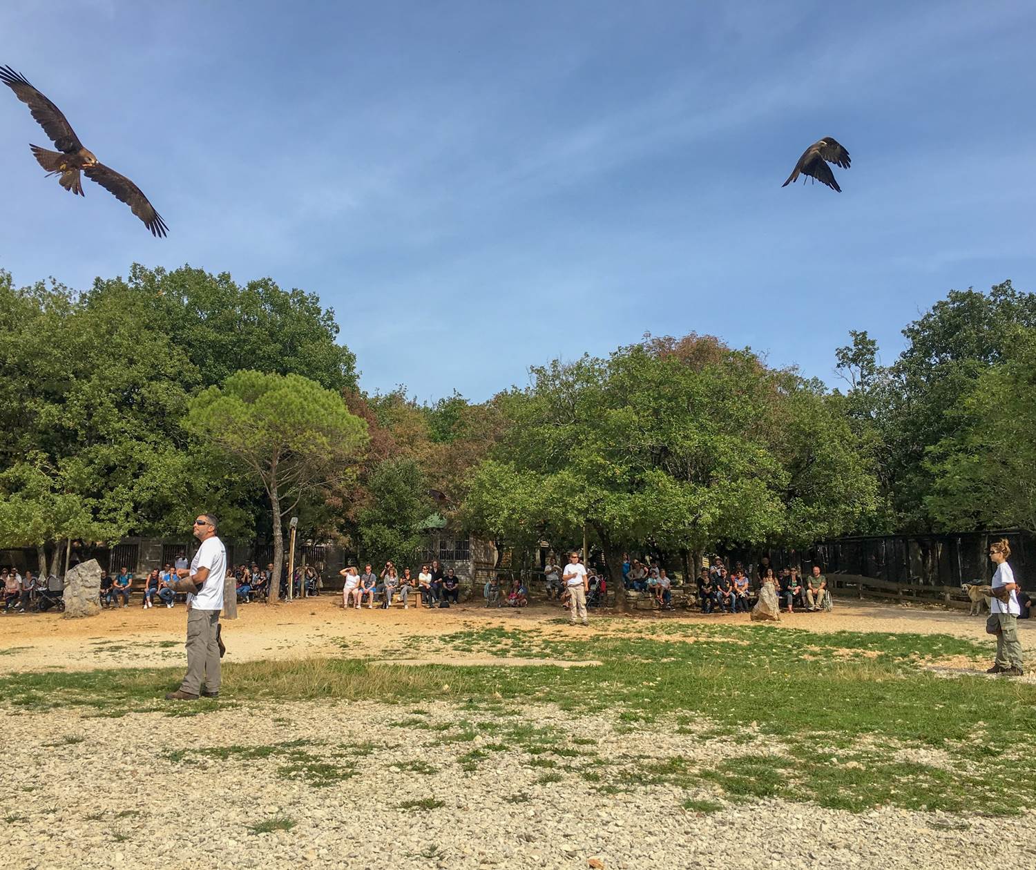 Rocher des Aigles à Rocamadour © Lot Tourisme - C
