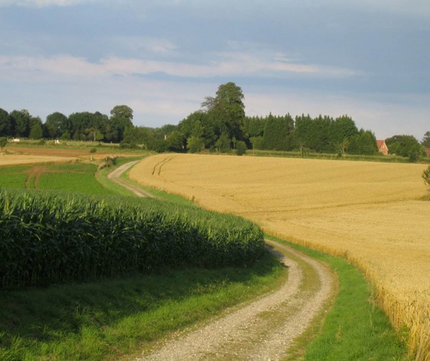 Château de Behen Chemin porte de Boencourt